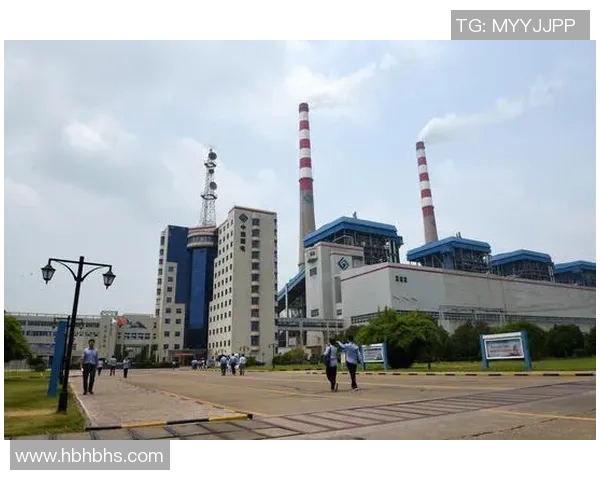 上海排球队的拼搏历程与荣耀时刻全景纪实