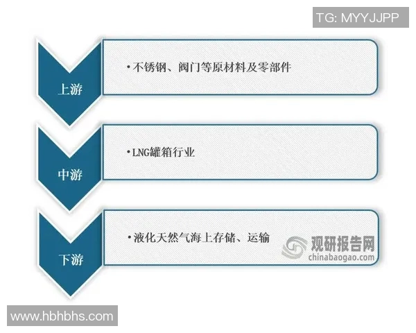 专业解析LNG市场转换策略及其对能源行业的影响分析