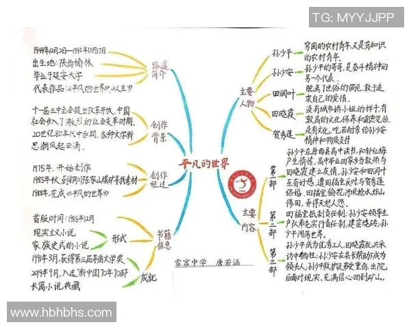 焦泊乔的成长之路：从平凡少年到璀璨明星的奋斗故事