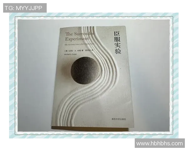 国民波托与勇者的对决：勇气与智慧的终极较量
