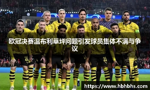 欧冠决赛温布利草坪问题引发球员集体不满与争议